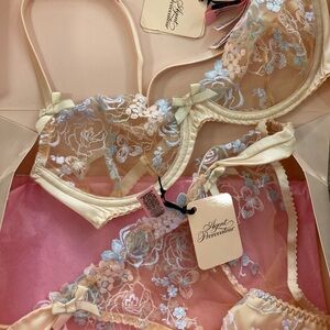 Agent Provocatuer Odette bra and brief set NEW with tags in Mint Box